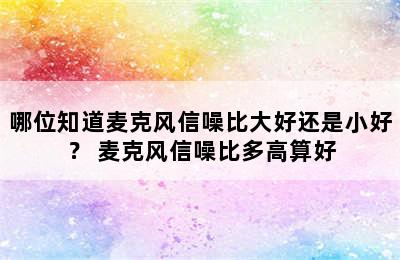 哪位知道麦克风信噪比大好还是小好？ 麦克风信噪比多高算好